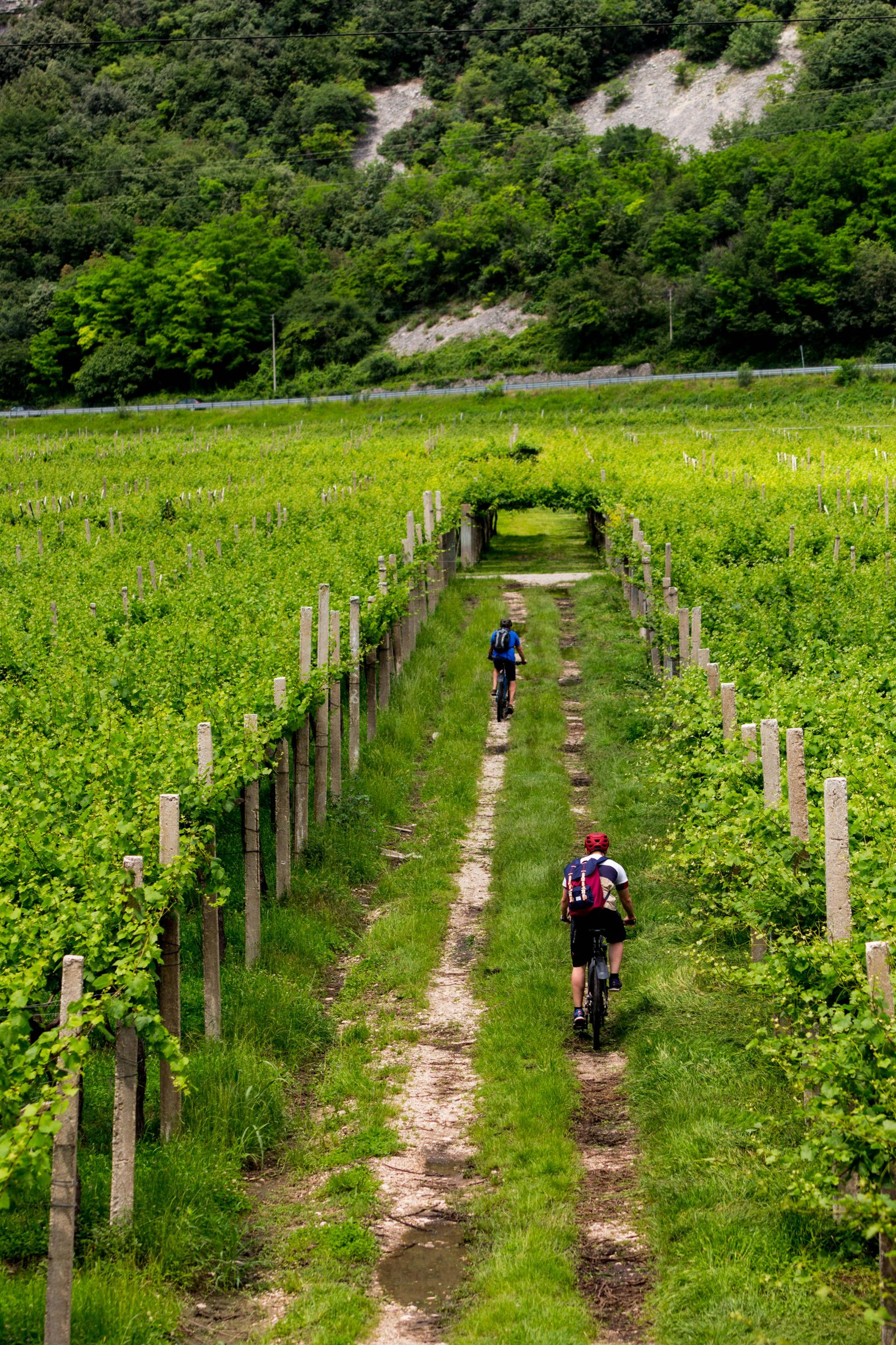 Fietsen door de heuvels van Le Marche