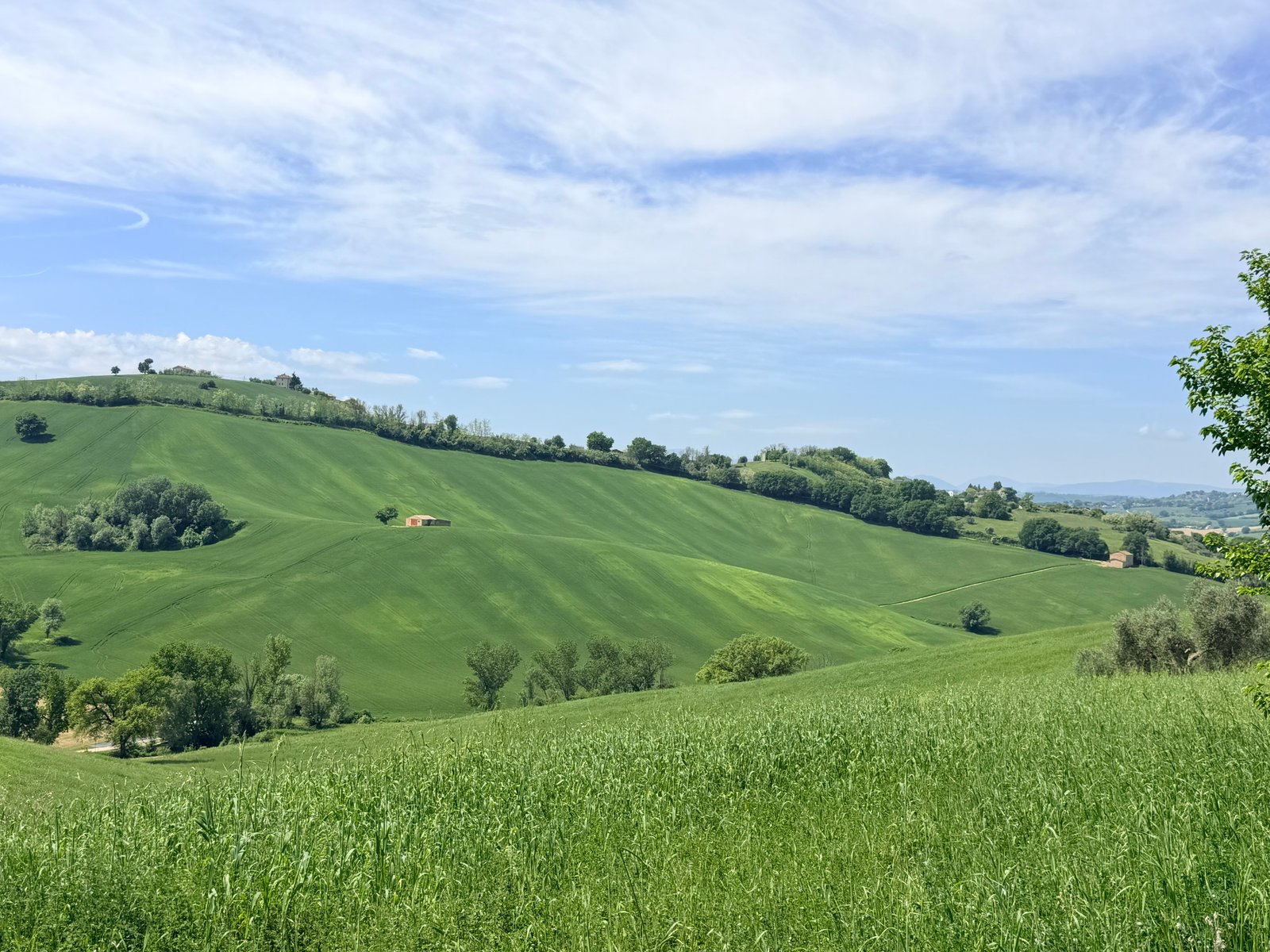 Capanna in contrada Perelle, Corridonia: landschap van Le Marche met licht en schaduw
