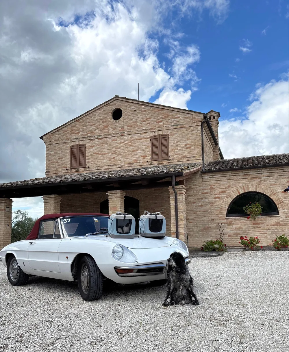 De Alfa Romeo Duetto met de reisbenches van de katten en de hond voor ons huis in Le Marche